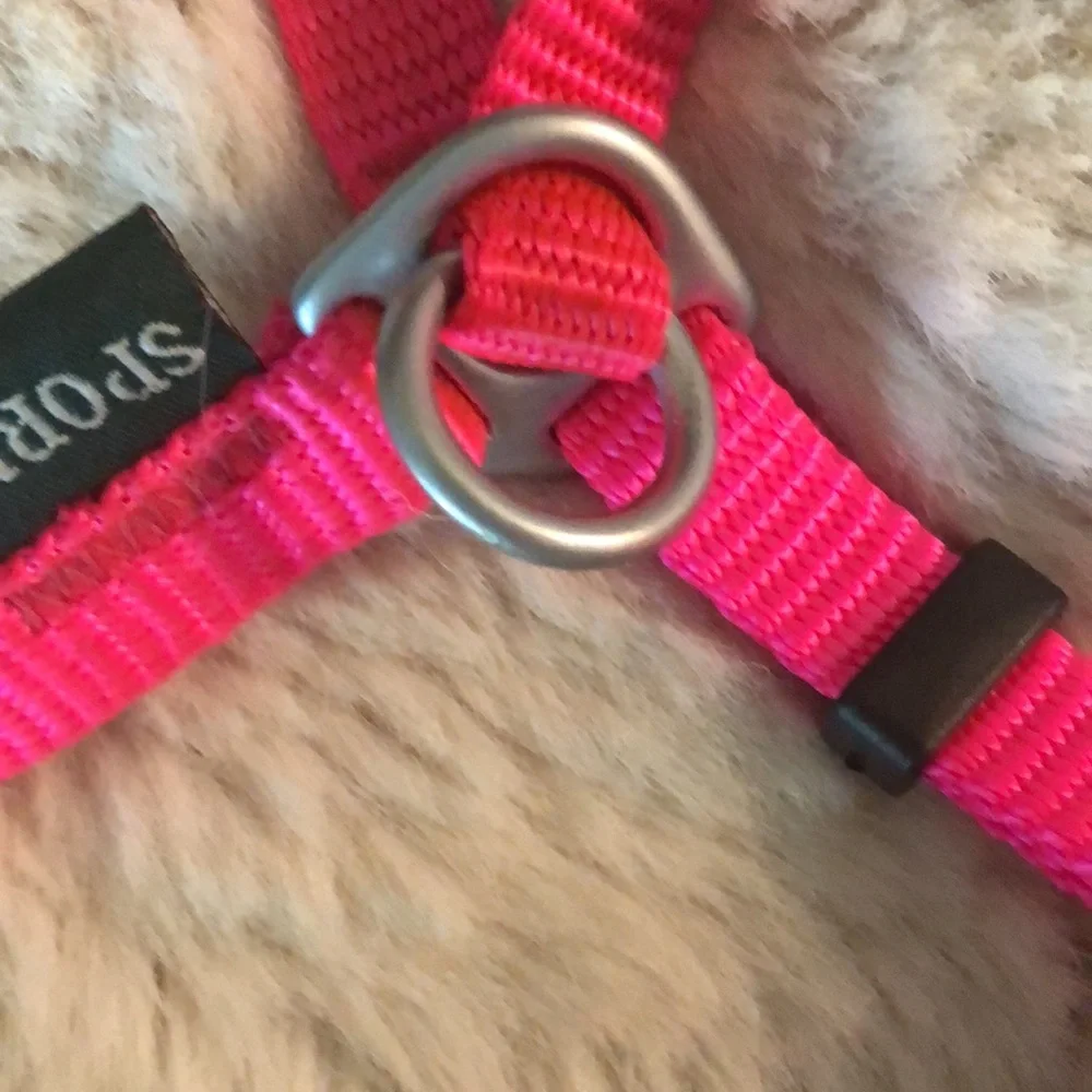 sporn cat harness